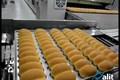 FOOD SECTOR PRODUCTION LINE